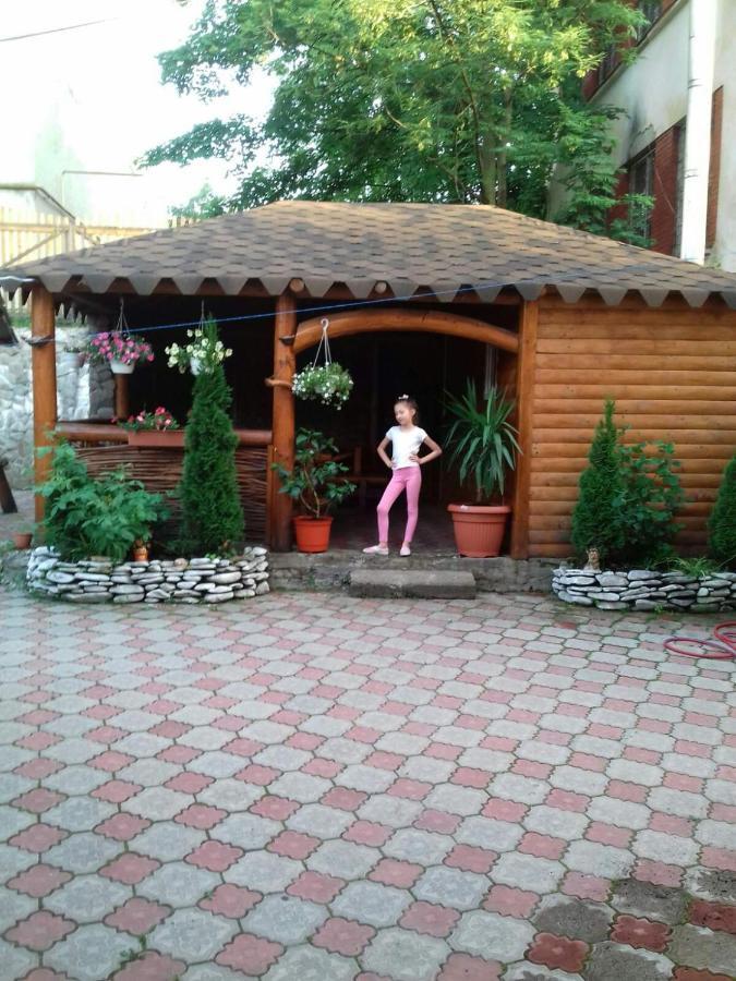 Над Вичов Volovets Exterior foto